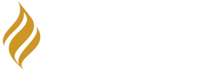 Leadership Perimeter